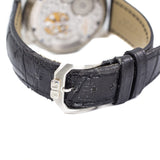 Glashutte Original Panomatic Tourbillion Regulator in Platinum