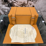 European Panhard M20