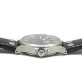 Sinn 556 in Steel