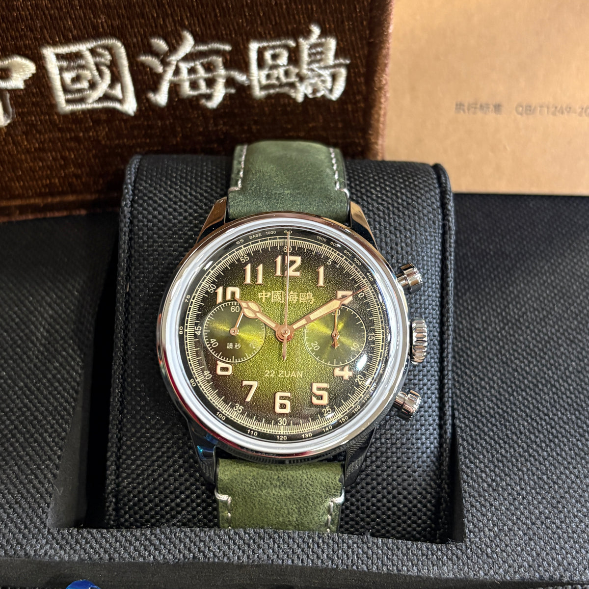 Seagull Journey Series: 1963 Wind Chasing - Green